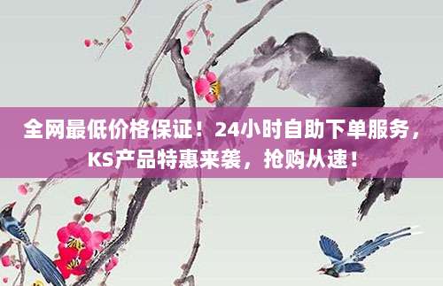 全网最低价格保证！24小时自助下单服务，KS产品特惠来袭，抢购从速！