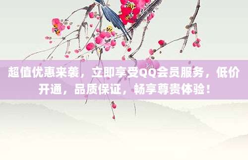 超值优惠来袭，立即享受QQ会员服务，低价开通，品质保证，畅享尊贵体验！