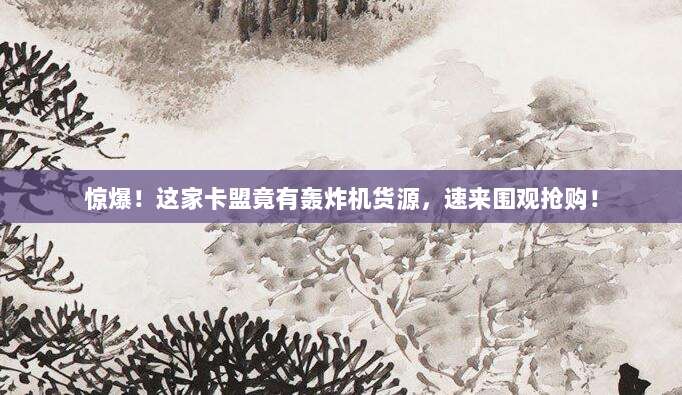 惊爆！这家卡盟竟有轰炸机货源，速来围观抢购！