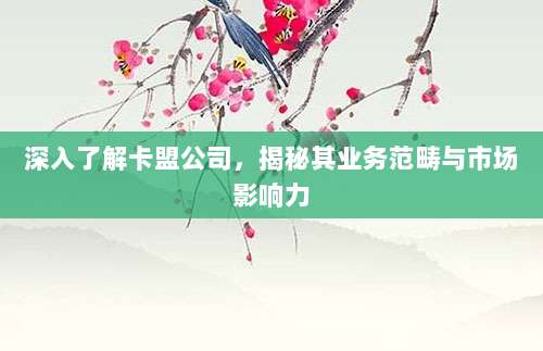 深入了解卡盟公司，揭秘其业务范畴与市场影响力