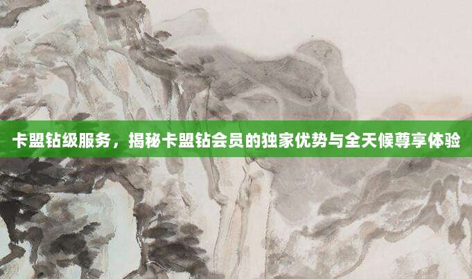 卡盟钻级服务，揭秘卡盟钻会员的独家优势与全天候尊享体验
