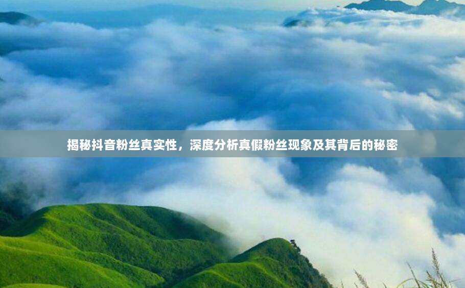 揭秘抖音粉丝真实性，深度分析真假粉丝现象及其背后的秘密