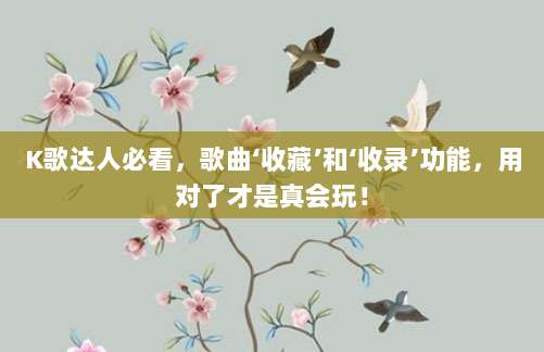 K歌达人必看，歌曲‘收藏’和‘收录’功能，用对了才是真会玩！