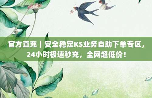 官方直充｜安全稳定KS业务自助下单专区，24小时极速秒充，全网超低价！
