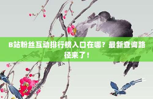 B站粉丝互动排行榜入口在哪？最新查询路径来了！