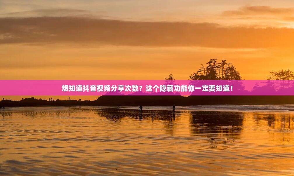 想知道抖音视频分享次数?这个隐藏功能你一定要知道!