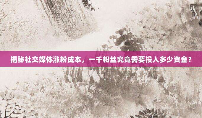 揭秘社交媒体涨粉成本，一千粉丝究竟需要投入多少资金？