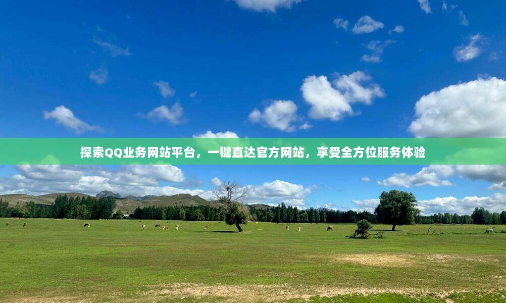 探索QQ业务网站平台,一键直达官方网站,享受全方位服务体验