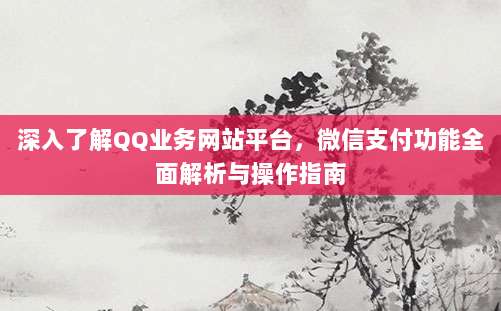 深入了解QQ业务网站平台,微信支付功能全面解析与操作指南