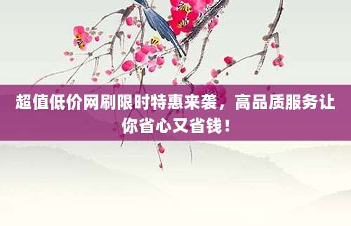 超值低价网刷限时特惠来袭，高品质服务让你省心又省钱！