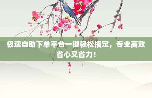 极速自助下单平台一键轻松搞定，专业高效省心又省力！