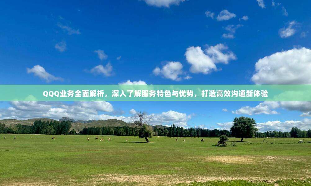 QQQ业务全面解析,深入了解服务特色与优势,打造高效沟通新体验