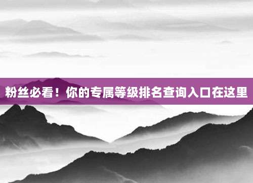 粉丝必看！你的专属等级排名查询入口在这里