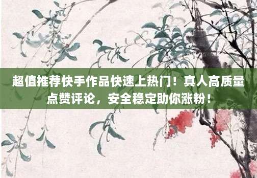 超值推荐快手作品快速上热门!真人高质量点赞评论,安全稳定助你涨粉!