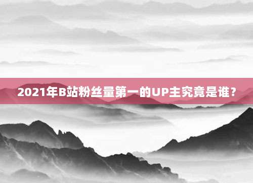 2021年B站粉丝量第一的UP主究竟是谁？