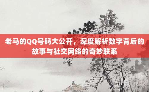 老马的QQ号码大公开,深度解析数字背后的故事与社交网络的奇妙联系