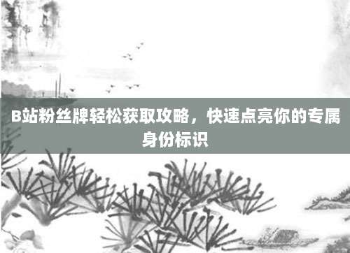B站粉丝牌轻松获取攻略,快速点亮你的专属身份标识