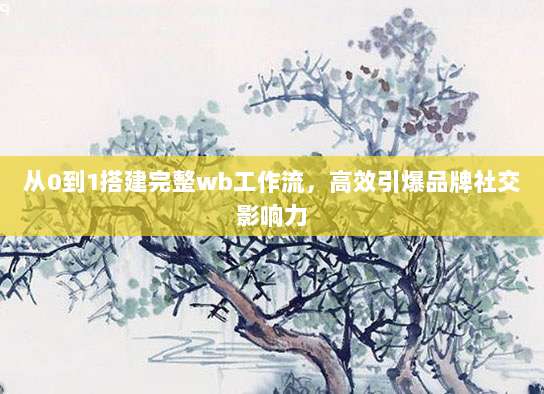 从0到1搭建完整wb工作流,高效引爆品牌社交影响力
