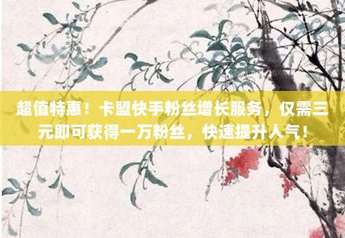 超值特惠!卡盟快手粉丝增长服务,仅需三元即可获得一万粉丝,快速提升人气!