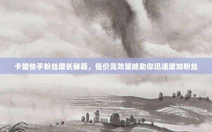卡盟快手粉丝增长秘籍,低价高效策略助你迅速增加粉丝