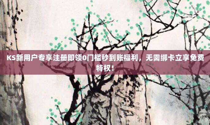 KS新用户专享注册即领0门槛秒到账福利，无需绑卡立享免费特权！
