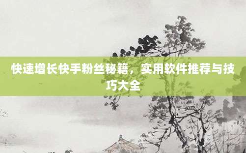 快速增长快手粉丝秘籍，实用软件推荐与技巧大全