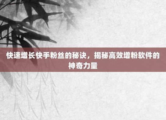 快速增长快手粉丝的秘诀，揭秘高效增粉软件的神奇力量