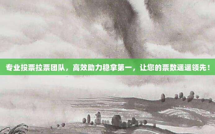 专业投票拉票团队，高效助力稳拿第一，让您的票数遥遥领先！