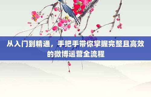 从入门到精通，手把手带你掌握完整且高效的微博运营全流程