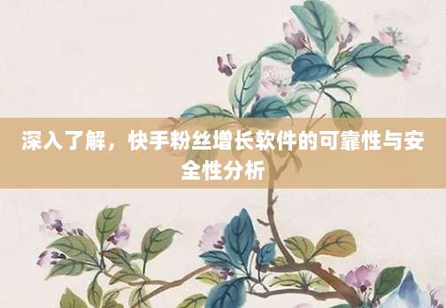 深入了解,快手粉丝增长软件的可靠性与安全性分析
