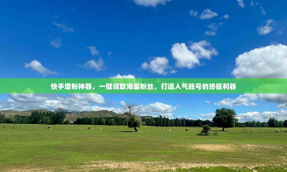 快手增粉神器,一键领取海量粉丝,打造人气账号的终极利器