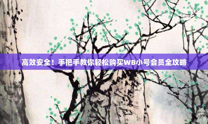 高效安全！手把手教你轻松购买WB小号会员全攻略