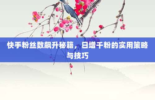 快手粉丝数飙升秘籍,日增千粉的实用策略与技巧