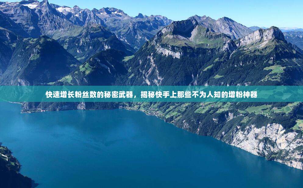 快速增长粉丝数的秘密武器,揭秘快手上那些不为人知的增粉神器